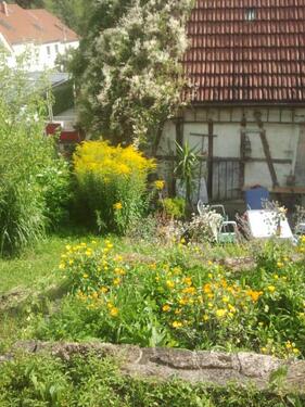 Foto - Bauernhaus, Landhaus in Neuhausen auf den Fildern