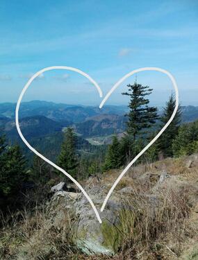 Foto - Urlaub im Schwarzwald - Ferienwohnungen in traumhafter Lage