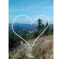 Urlaub im Schwarzwald - Ferienwohnungen in traumhafter Lage - Oppenau