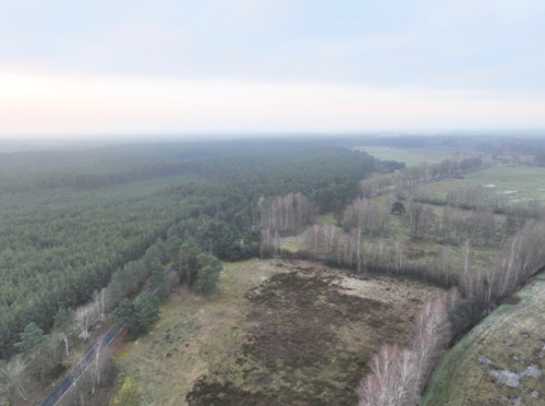 Foto - Grundst&uuml;ck in Schönwald