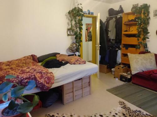 Foto - 1 Zimmer Etagenwohnung zur Miete in Potsdam