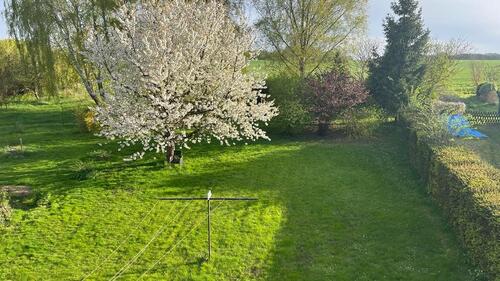 Foto - 6 Zimmer Reihenhaus zur Miete in Rehna