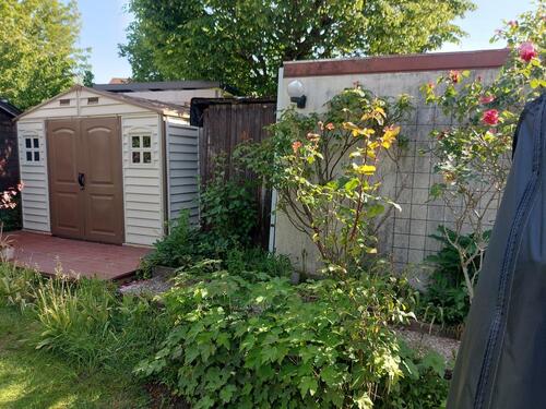 Foto - Einfamilienhaus in Willstätt zum Kaufen