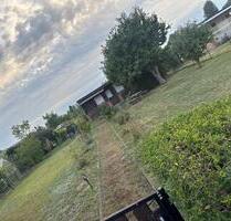 Garten in Prösen ,,Waldfrieden“ abzugeben - Bad Liebenwerda