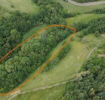 Wald Waldgrundstück (Mischwald) - RehbornLettweiler - Bad Kreuznach Bad Münster am Stein-Ebernburg