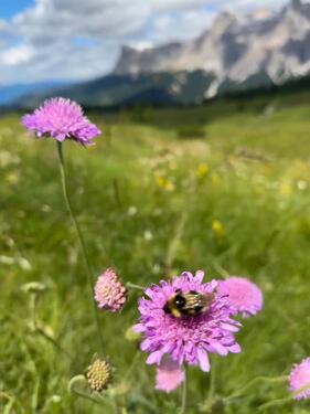 Foto - Stendal Nähe Bahnhof Garage zu vermieten Lüderitzer Str.