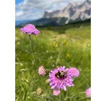 Stendal Nähe Bahnhof Garage zu vermieten Lüderitzer Str.