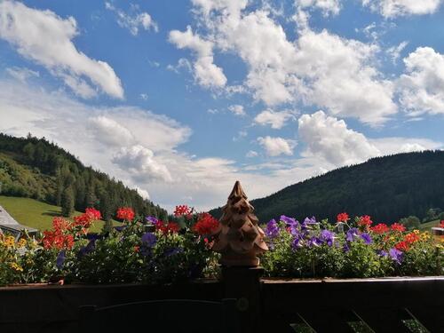 Foto - 2 Zimmer Wohnung im südlichen Hochschwarzwald