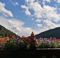 2 Zimmer Wohnung im südlichen Hochschwarzwald - Todtnau