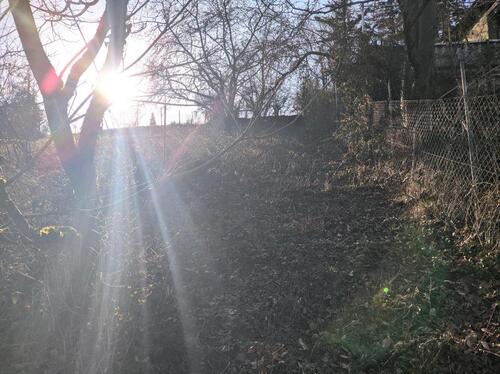 Foto - Grundst&uuml;ck in Würzburg