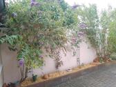 Foto - saniert schönes Haus Luckenwalde Garten EBK GERÄTE Kamin BERLIN