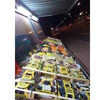 Obst und Gemüse Laden - 1.500,00 EUR Kaltmiete, in Datteln (PLZ: 45711)