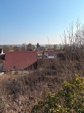 Foto - Einfamilienhaus in Bad Belzig zum Kaufen