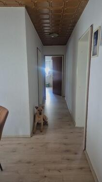 Foto - 3.5 Zimmer Erdgeschoßwohnung in Speyer