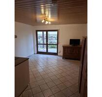 Gepflegte 1-Zimmer-Wohnung mit Terrasse in Emmendingen Mundingen