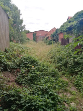 Foto - Einfamilienhaus in Osterburg (Altmark) zum Kaufen