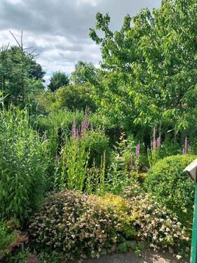 Foto - Grundst&uuml;ck zur Miete in Neubrandenburg