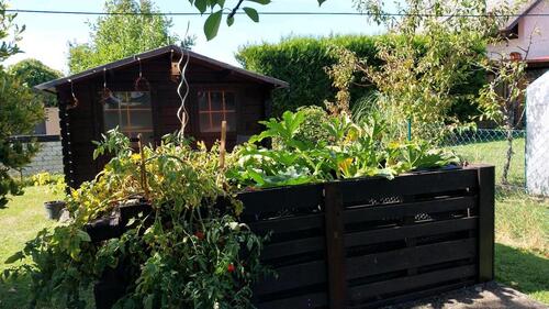 Foto - Einfamilienhaus - 180.000,00 EUR Kaufpreis,