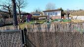 Foto - Garten zu verpachten - 600,00&nbsp;EUR Kaltmiete, ca.&nbsp; 0,00&nbsp;m&sup2;