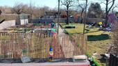 Foto - Grundst&uuml;ck zur Miete in Neubrandenburg