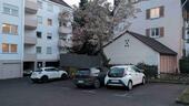 Foto - andere in Stuttgart