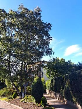 Foto - Hanstedt - 1-Zi-WG in zentraler Lage