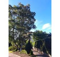 Hanstedt - 1-Zi-WG in zentraler Lage