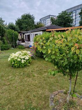 Foto - Wunderschöner Kleingarten in Lößnig (Moritz-Hof) anzubieten
