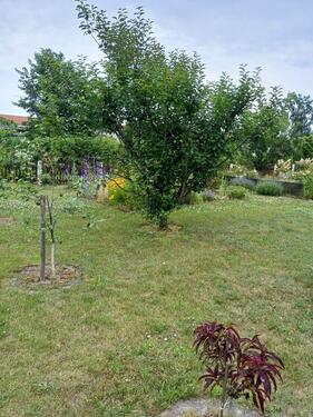 Foto - Grundst&uuml;ck in Leipzig