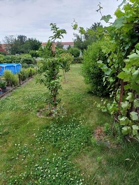 Foto - Grundst&uuml;ck in Leipzig zur Miete