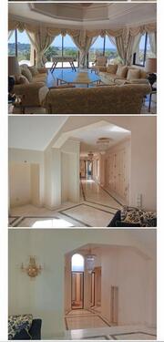 Foto - Villa in Friedrichshafen zum Kaufen