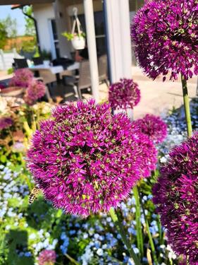 Foto - Einfamilienhaus in Reckendorf