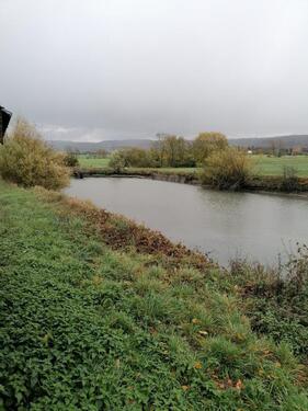 Foto - Fischweiher Angelsee in Wettringen (Bayern)