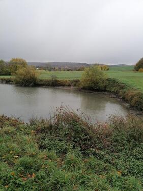 Foto - Grundst&uuml;ck zum Kaufen in Wettringen