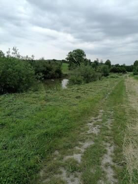 Foto - Grundst&uuml;ck in Wettringen zum Kaufen