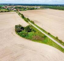 AUKTION: Gehölz- und Grünfläche - Zerbst (Anhalt) Leps