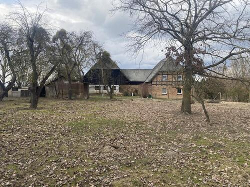 Foto - 5 Zimmer Einfamilienhaus zum Kaufen in Penzlin