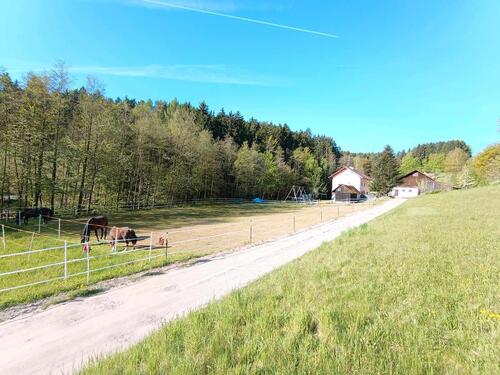 Foto - Hofstelle für Pferdehaltung in Hunderdorf - Provisionsfrei!!!