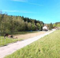 Hofstelle für Pferdehaltung in Hunderdorf - Provisionsfrei!!!