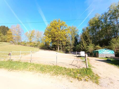 Foto - Mehrfamilienhaus, Wohnhaus in Hunderdorf zum Kaufen