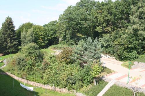 Foto - Ganz oben mit 'grüner Aussicht'!!