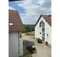 Schöne 2-Zimmer Wohnung mit EBK zu vermieten - Worms Westliche Vororte