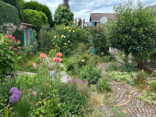 Foto - 4 Zimmer Hochparterre in Roßdorf