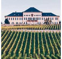 Große 4 ZKBB Wohnung im Altbau Geisenheim OT. - Rüdesheim am Rhein
