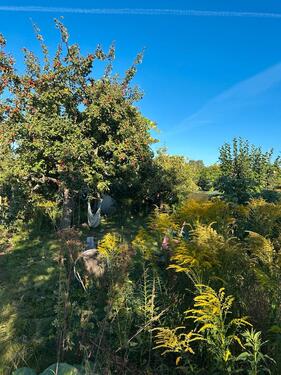 Foto - Schrebergarten Kleingarten mit Steinlaube KGV Schildsteinweg