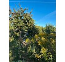 Schrebergarten Kleingarten mit Steinlaube KGV Schildsteinweg - Lüneburg