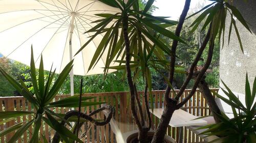 Foto - Etagenwohnung in Duisburg zur Miete