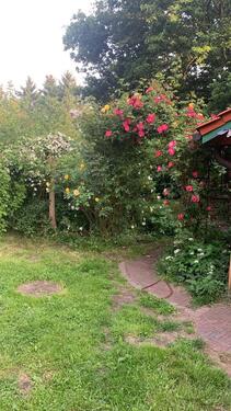 Foto - andere zur Miete in Bremervörde