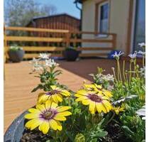 Ferienhaus Harzblüte - Der Frühling ruft - Ferienwohnung im Harz - Blankenburg (Harz)