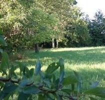 Großes naturnahes Freizeitgrundstück, Wasser und Strom vorhanden - Straubing